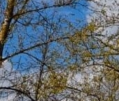 Продать Квартиры вторичка д. Гостилицы, улица Комсомольская, 3   