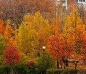 Сдать в аренду Квартиры вторичка Мячковский бульвар, 11   