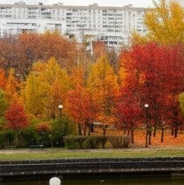 Аренда 3-комн квартиры на вторичном рынке Мячковский бульвар, 11