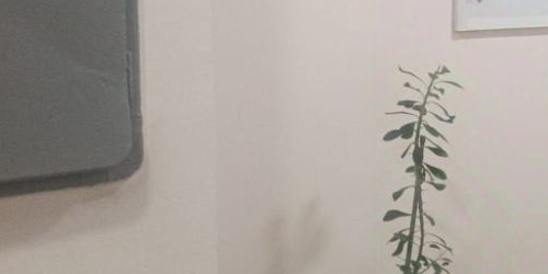 2-комн квартира Олимпийский проспект, 22