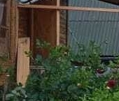 Продать Дачи, коттеджи, загородные дома Восточное Радофинниково садоводческий массив, Буревестник СНТ, 11-я линия  4 