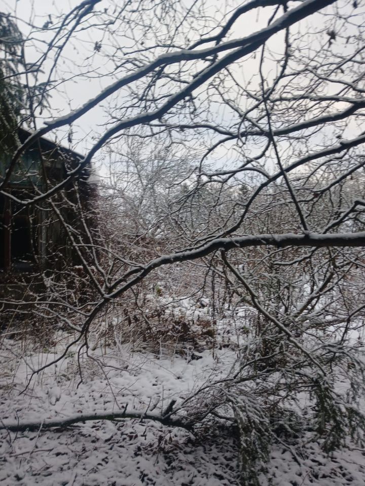 Продажа земли Восход садоводческий массив, Петрокрепость СНТ