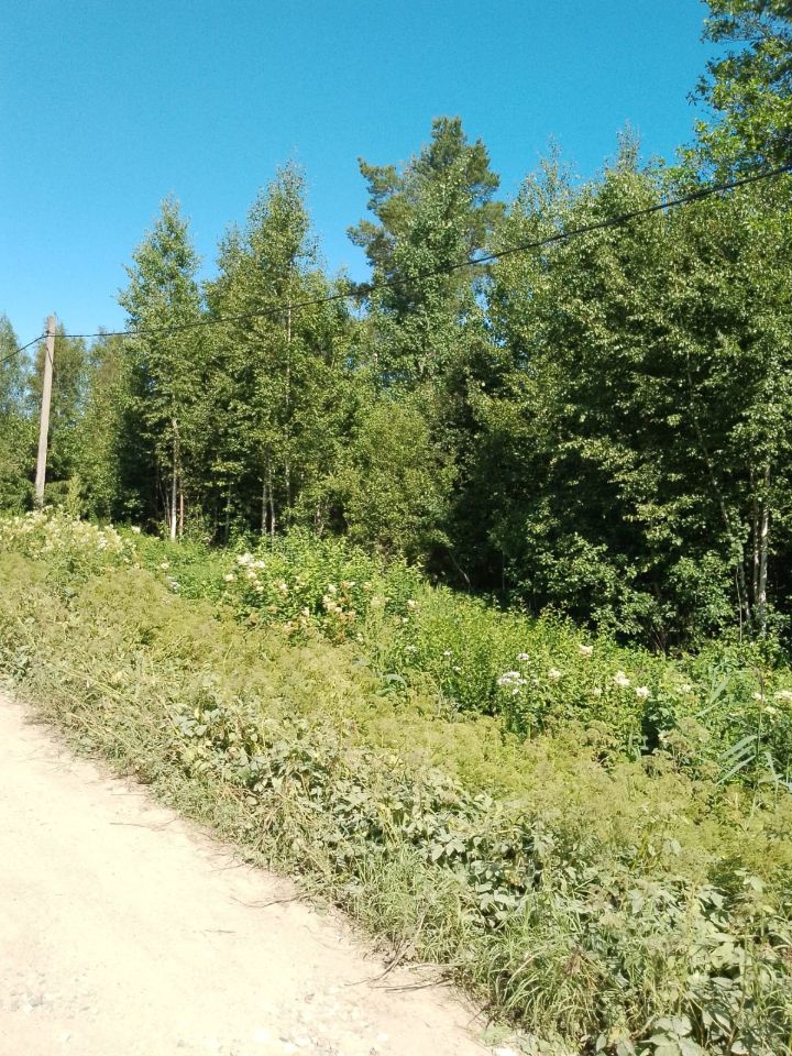 Продажа земли Пупышево садоводческий массив, Север СНТ