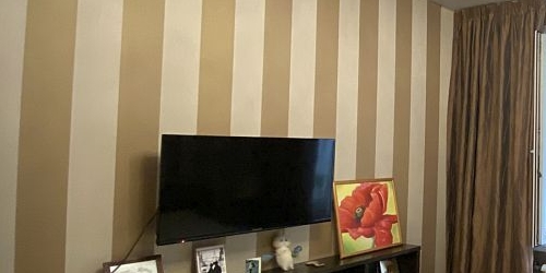 2-комн квартира улица Генерала Антонова, 1