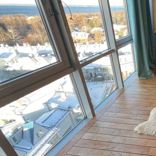 Студия Сестрорецк, Дубковское шоссе, 38