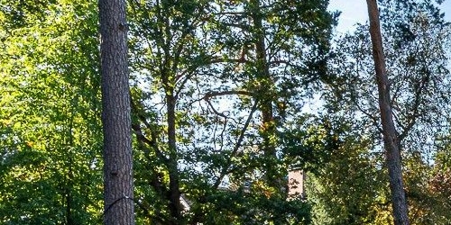 Коттедж/дом Сестрорецк, Парковая улица