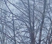 Продать Квартиры вторичка 4-й Рощинский проезд, 16   