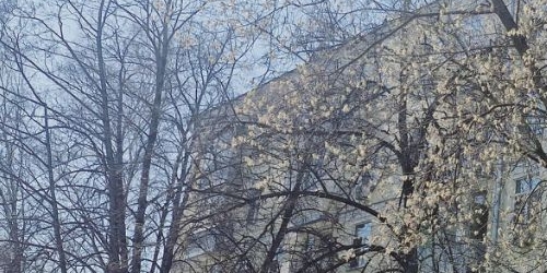 3-комн квартира 4-й Рощинский проезд, 16