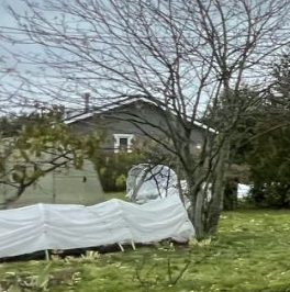 Продажа дома Сосновый Бор, Ромашка СНТ, улица Цветочная,  д. 168