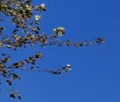 Продать Квартиры вторичка Щелковское шоссе, 71   