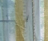 Продать Квартиры вторичка Сергиев Посад, Озерная улица, 5   