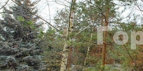 2-комн квартира Солнечногорская улица, 6К2