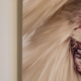 Продажа 5-комн квартиры на вторичном рынке Большой Козихинский переулок, 27С1