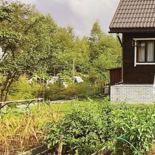 Коттедж/дом Лесник СНТ, 28