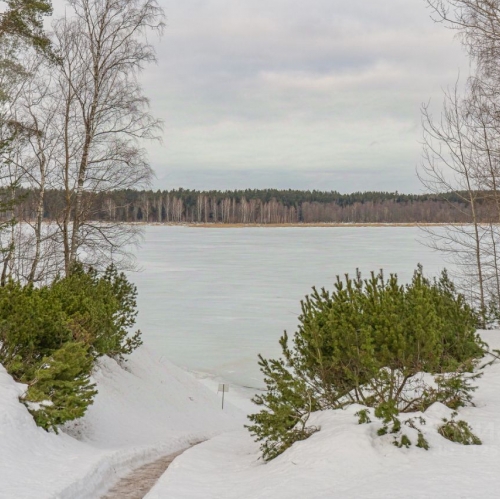 Коттедж/дом Громово, 41К-155