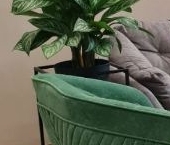 Продать Квартиры вторичка улица Петра Алексеева, 14   