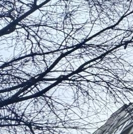 Продажа 3-комн квартиры на вторичном рынке проспект Славы, 64