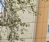 Продать Квартиры вторичка улица Лени Голикова, 52к5   