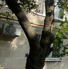 Продажа 3-комн квартиры на вторичном рынке Дмитровское шоссе, 29К1 Продажа 3-комн квартиры на вторичном рынке Дмитровское шоссе, 29К1