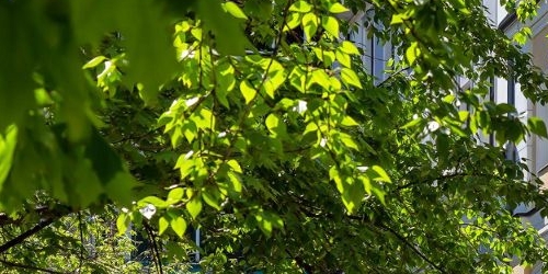 2-комн квартира Поварская улица, 8/1к1