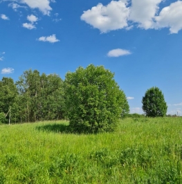 Продажа земли Ванвилладж, ул Рубиновая,  д. 23