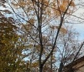 Продать Квартиры вторичка Погонный проезд, 1К9   