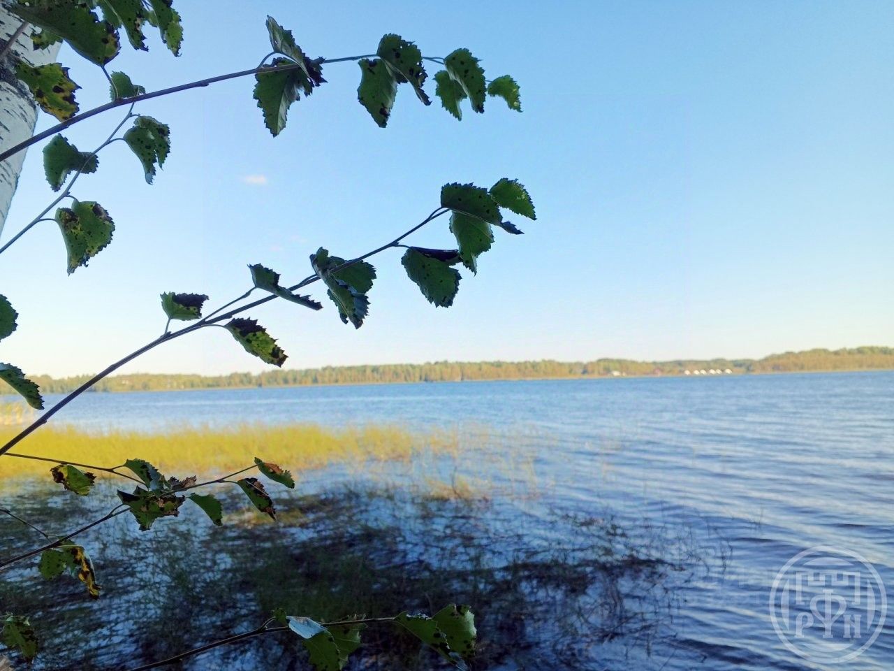 Продажа земли пос. Правдино, улица Озерная