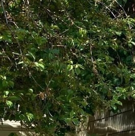 Продажа 1-комн квартиры на вторичном рынке Можайское шоссе, 15 Продажа 1-комн квартиры на вторичном рынке Можайское шоссе, 15