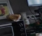 Продать Дачи, коттеджи, загородные дома Северная Самарка садоводческий массив, улица 2-я Свердловская, 83   