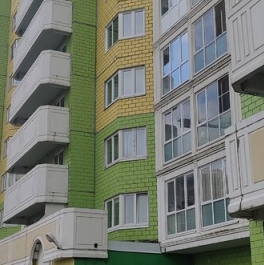 Продажа 1-комн квартиры на вторичном рынке Янино-1 пгт, Мельничный пер,  д. 1