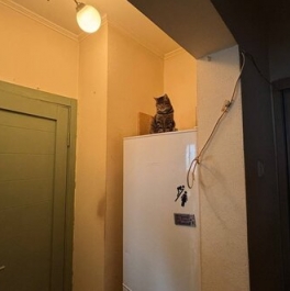 Продажа 1-комн квартиры на вторичном рынке Заревый проезд,  д. 9