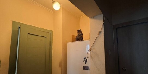 1-комн квартира Заревый проезд,  д. 9