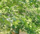 Продать Квартиры вторичка Союзный проспект, 4   