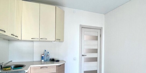 2-комн квартира Зелёный пр-кт,  д. 103