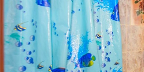 2-комн квартира Сестрорецк, Приморское шоссе, 306