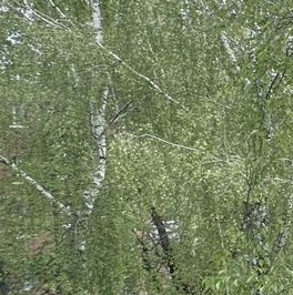 Продажа 2-комн квартиры на вторичном рынке Кашира, Гвардейская улица, 10/2