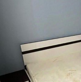 Аренда 1-комн квартиры на вторичном рынке пос. Янино-1, улица Голландская, 10