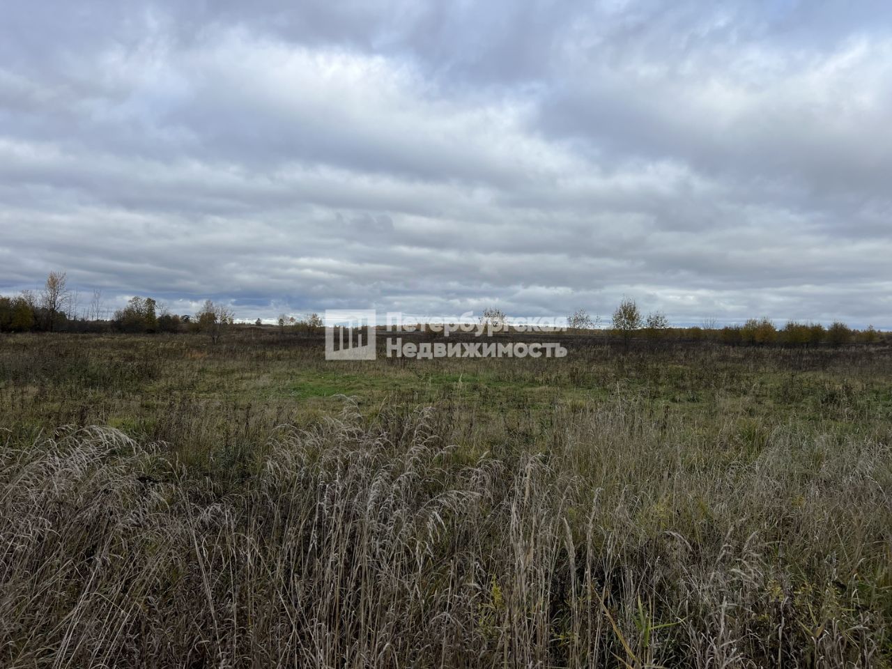 Продажа земли Благодатное СНТ, 1-я линия