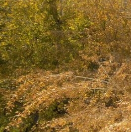 Продажа комнаты Авиамоторная улица, 49/1 Продажа комнаты Авиамоторная улица, 49/1