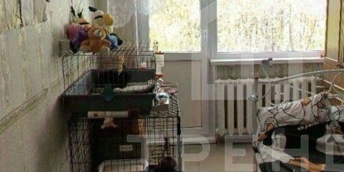 3-комн квартира Кингисепп, улица Жукова, 12а