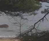 Продать Земельные участки, земля Акватория кп, пос. Пески   