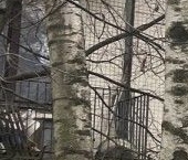 Продать Квартиры вторичка Авангардная улица, 45К2   