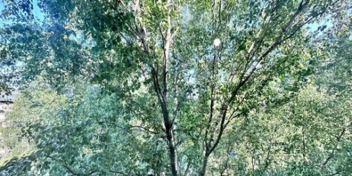 1-комн квартира улица Ольминского,  д. 16