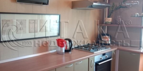 1-комн квартира Шушары, Пушкинская,  д. 34