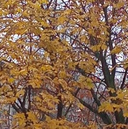 Продажа 3-комн квартиры на вторичном рынке проспект Металлистов, 59 Продажа 3-комн квартиры на вторичном рынке проспект Металлистов, 59