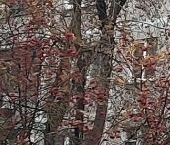 Продать Квартиры вторичка Подольск, улица Филиппова, 6а   