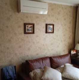 Аренда 1-комн квартиры на вторичном рынке улица Константинова,  д. 3