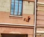 Продать Квартиры вторичка Звенигородская улица, 12/17   