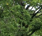 Продать Квартиры вторичка Востряковский проезд, 21К1   