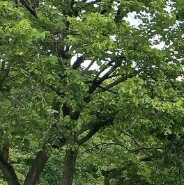 Продажа 2-комн квартиры на вторичном рынке Востряковский проезд, 21К1